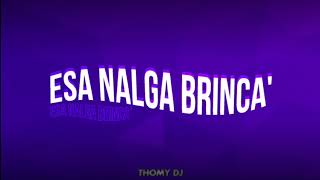 Thomy DJ  Esa Nalga Brinca📯 [upl. by Akilak]