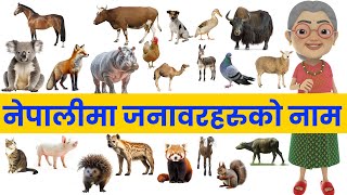 Learn Animal Names in Nepali and English  Domestic and Wild Animals Vocabulary  Learning for Kids [upl. by Hillary719]