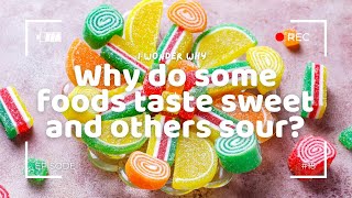 Why do some foods taste sweet and others sour  I wonder why 15 [upl. by Anatnahs]