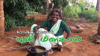 நாவூறும் புளி மிளகாய்  My village food Puli Milagai recipe in Tamil  Samayal kurippu [upl. by Siuraj]