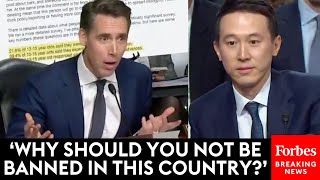 FIERY Josh Hawley Piteously Grills TikToks CEO At Senate Hearing On Online Child Safety [upl. by Jollenta]