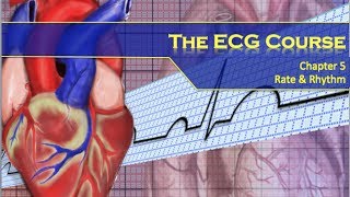 The ECG Course  Rate amp Rhythm [upl. by Aissej]