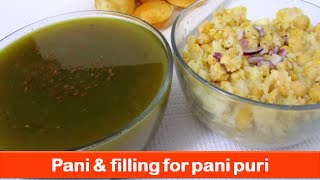 Pani puri filling amp masala recipegolgappaeasy puchka water recipesstreet foodlets be foodie [upl. by Jeni]