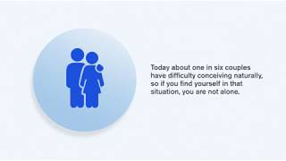 What is IVF All the way from egg collection to embryo transfer and freezing [upl. by Enaywd]