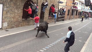 Moralzarzal 2015 Encierro con los toros de la novillada [upl. by Sande]