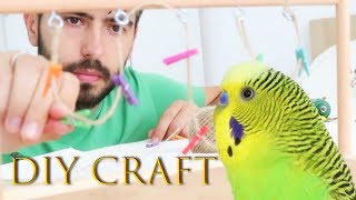 How to Build Your Own Birds Playground DIY Project [upl. by Porcia]