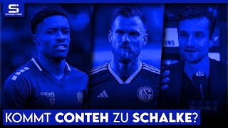 Holt Schalke Conteh OsnabrückSpiel vor Absage Kalas will bleiben  S04 NEWS [upl. by Haleak]