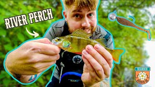 Micro Lure Fishing for RIVER PERCH [upl. by Johm]