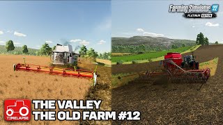 HARVESTING AND SOWING CANOLA The Valley The Old Farm FS22 Timelapse  12 [upl. by Lenod]