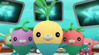 Octonauts Creature Reports  The Beluga Whales [upl. by Andie]