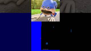 Poor Shin Sonic 😭😭😭😭😭 Horror Skunx Animation  Blue Bouncing Square [upl. by Michiko]