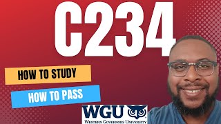 How to Pass Workforce Planning Recruitment ampSelection C234 WGU  IT Management Degree [upl. by Siul]