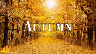 Autumn Colors 4K Ultra HD • Stunning Footage Autumn Scenic Relaxation Film with Calming Music [upl. by Hayikat]