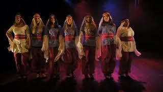 Lebanese dabke to the song Al Akhrass by Fares Karam  Layali Sweden 2011 [upl. by Aduhey]