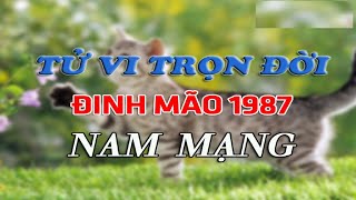 Tử vi trọn đời tuổi Đinh Mão 1987 nam mạng Tiền vận đôi chút khó khăn song đến trung và hậu vận [upl. by Aicissej219]