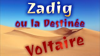 Zadig Voltaire  Chapitre 3  Le Chien et le Cheval [upl. by Januisz]