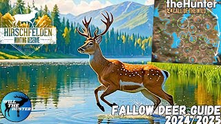 Hirschfelden Fallow Deer Guide Everything You Need To Know  TheHunter Call Of The Wild 2425 [upl. by Barhos469]