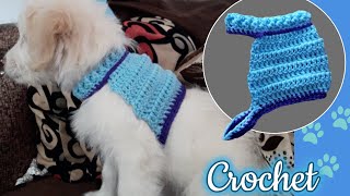 COMO TEJER UN SACO PARA MI PERRO PASO A PASO Tejido a crochet 2023 [upl. by Olraced]