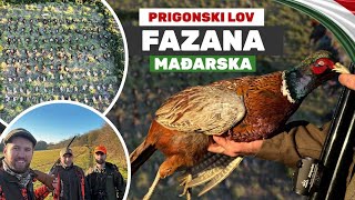 Prigonski lov na Fazana  Madjarska 2023Driven Pheasant Hunt 2023  Hungary EP227  TRAILER [upl. by Peednam]