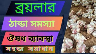 ব্রয়লার মুরগির ঠান্ডা রোগের চিকিৎসা। মুরগির ঠান্ডা লাগলে কি ঔষধ চালাবেন। [upl. by Perry]