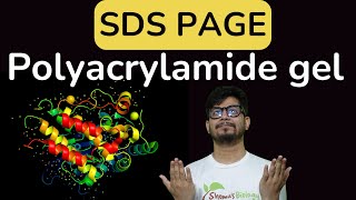 SDS PAGE gel electrophoresis  sds page principle explained  poly acrylamide gel electrophoresis [upl. by Ruomyes]