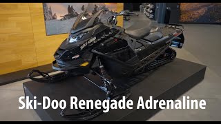 SkiDoo Renegade Adrenaline [upl. by Heinrike]