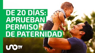 Diputados aprueban permiso de paternidad de 20 días [upl. by Eppie520]