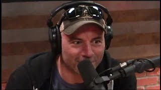 Joe Rogan Surprised Danica Patrick Isnt Into Cars  quotIm Not a Car Girlquot [upl. by Hayott]