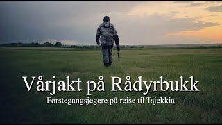 Vårjakt på rådyrbukk E3 [upl. by Ahen]