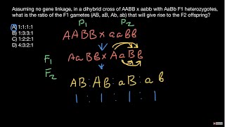 Genotypes and phenotypes ratios explained [upl. by Odraode]