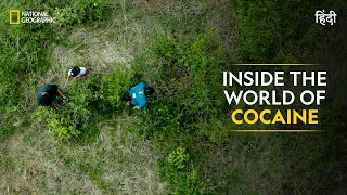 Inside the World of Cocaine  Trafficked with Mariana van Zeller  National Geographic [upl. by Conard]