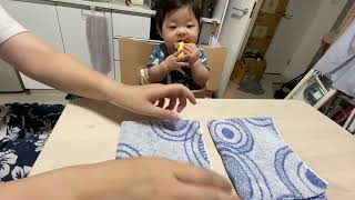 A not B error Piage 一回目から間違えるんだがvlog baby 赤ちゃんのいる生活 anotberror 生後8ヵ月 [upl. by Eirdua102]