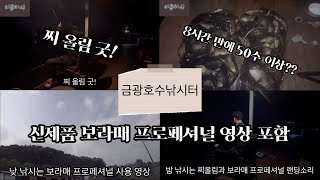 곧 출시 할 낚시대 보라매 프로페셔널 사용해 보자 금광호수 낚시터 밤낚시 굿 [upl. by Nwadahs55]