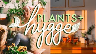 Hygge Home 🌿7 Best Plants for Hygge Lifestyle [upl. by Luwana883]