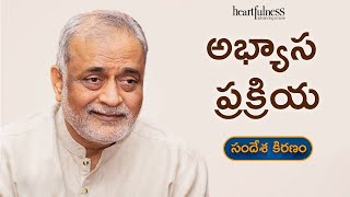 Become effortless in your Sadhana  Daaji  Heartfulness Telugu [upl. by Adnamahs761]