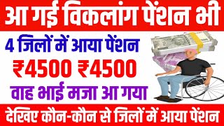 विकलांग पेंशन भी आ गई  viklang pension  divyang pension  viklang pension kab aaegi [upl. by Gitlow]