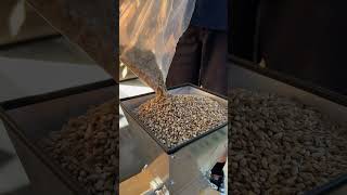 Milling Grain on the Motorized MaltMuncher [upl. by Darya]