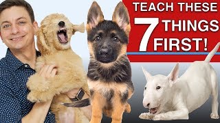 How to Teach The First 7 Things To Your Dog Sit Leave it Come Leash walking Name [upl. by Attinahs330]