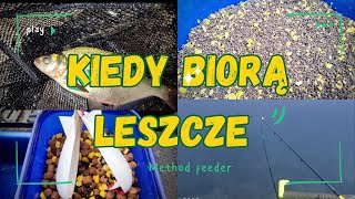 Kiedy biorą leszcze leszcz methodfeeder [upl. by Haimaj223]