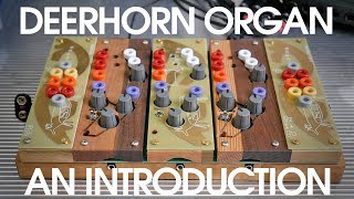 CiatLonbarde Deerhorn Organ  An Introduction [upl. by Earla]