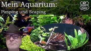 Pimping und Scaping  Mein Aquarium 11 [upl. by Salb]