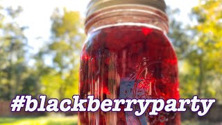 Distilling Blackberry Wine into Brandy [upl. by Charlie]