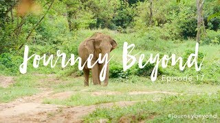 Episode 17 FINAL EPISODE 300HR YTT amp ELEPHANT SANCTUARY  Journey Beyond  VLOG  YogaBeyond [upl. by Redep]