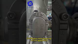 CIXIFM gear metering pump highspeed pump on site application  pumpingsolutions meteringpump [upl. by Nednal]