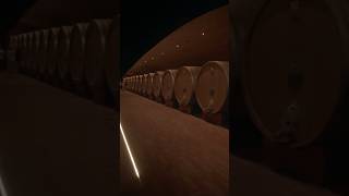 Antinori nel Chianti Classico🇮🇹🎥marchesiantinorivineyard winery familybusiness italy tuscany [upl. by Ahcsrop]