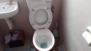 My 1991 Armitage Shanks Magnia Toilet Has A New Toilet Seat And Is Being Restored [upl. by Akiv900]