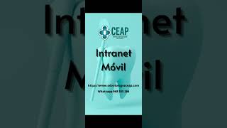 Ingreso y manejo de intranet en navegador móvil [upl. by Gert223]