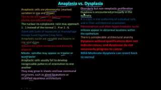 114P Anaplasia vs Dysplasia [upl. by Sheryle374]