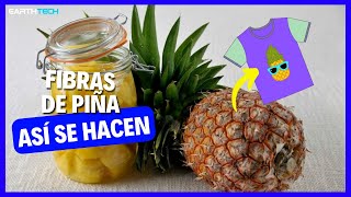 🍍Desperdicios de Piña reemplazan Textiles de cuero👗 [upl. by Chicky]