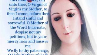 Daily Novena to Our Lady Mary Mediatrix of AllGrace [upl. by Anaylil]